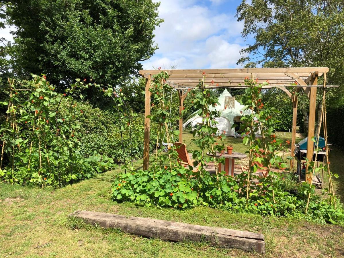Secret Garden Glamping Hotel Lymington Exterior foto